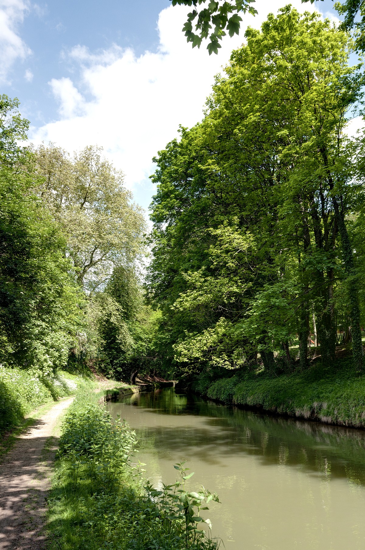 2012-05-13 10-49-48 fweb