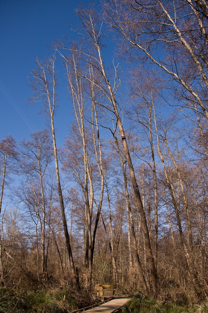 2009-02-25 15-43-08 web