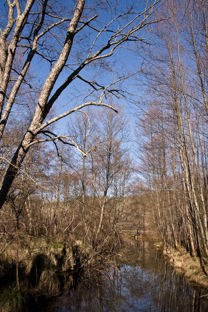 2009-02-25 15-49-42 web