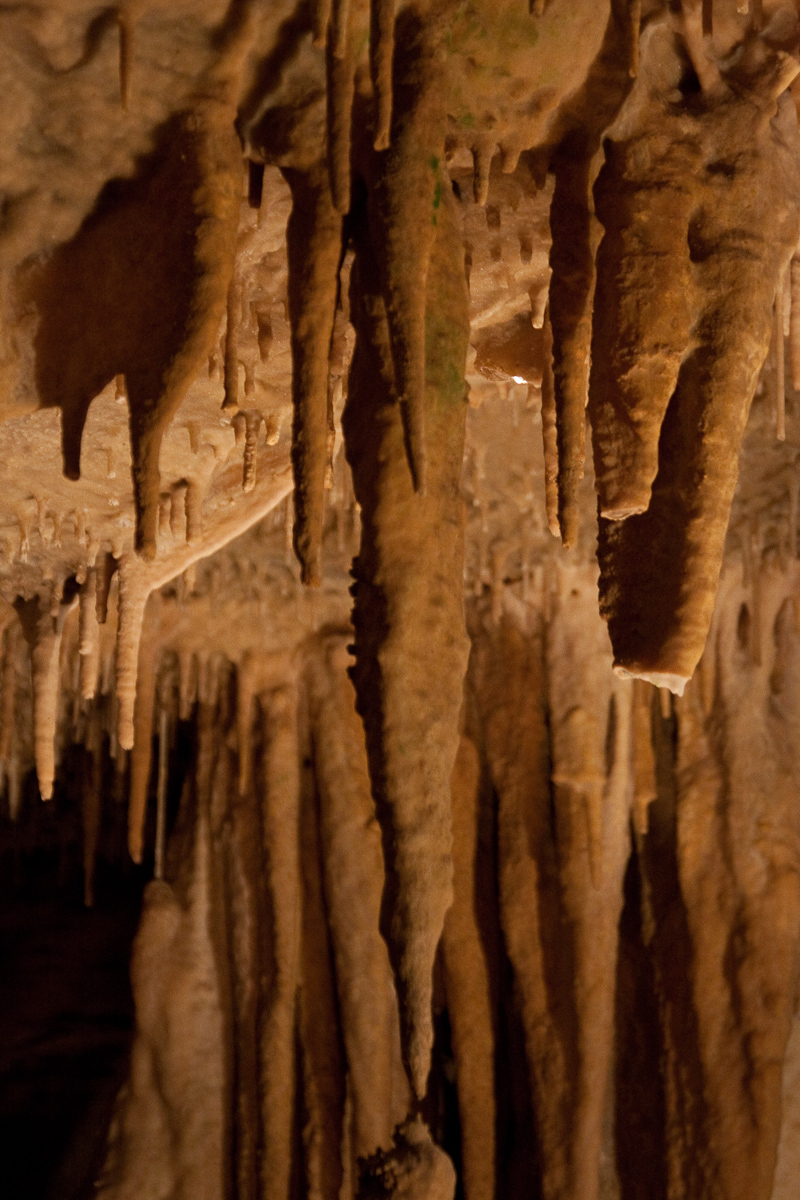 2010-08-22 15-49-31 web