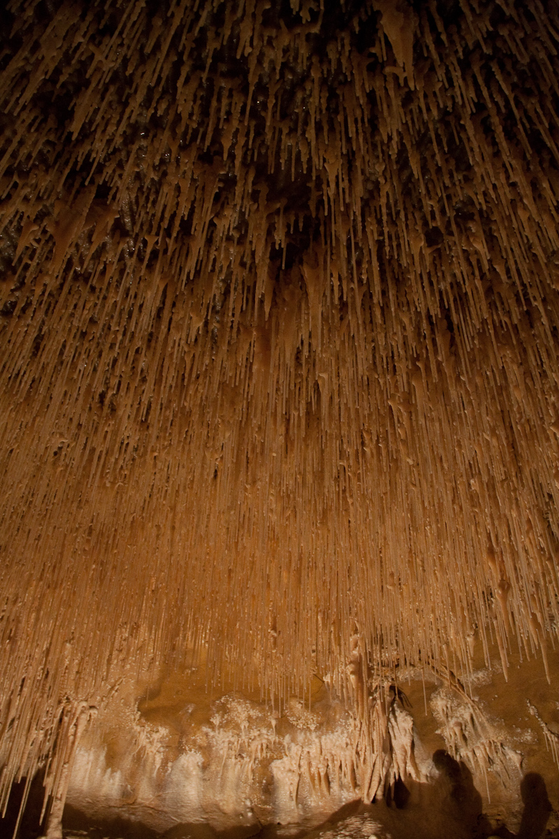 2010-08-22 15-56-42 web