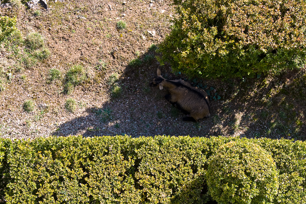 2009-02-26 15-32-25 web