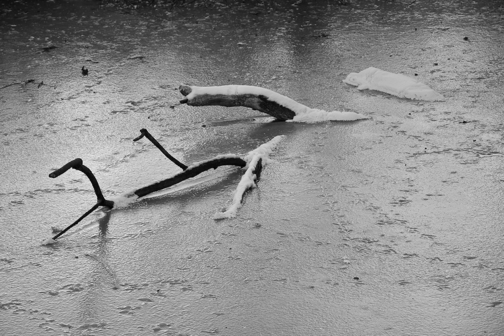 2009-01-10 16-22-06 web