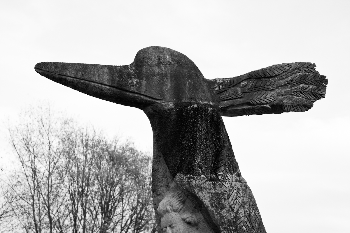 2010-11-20 16-43-12 web