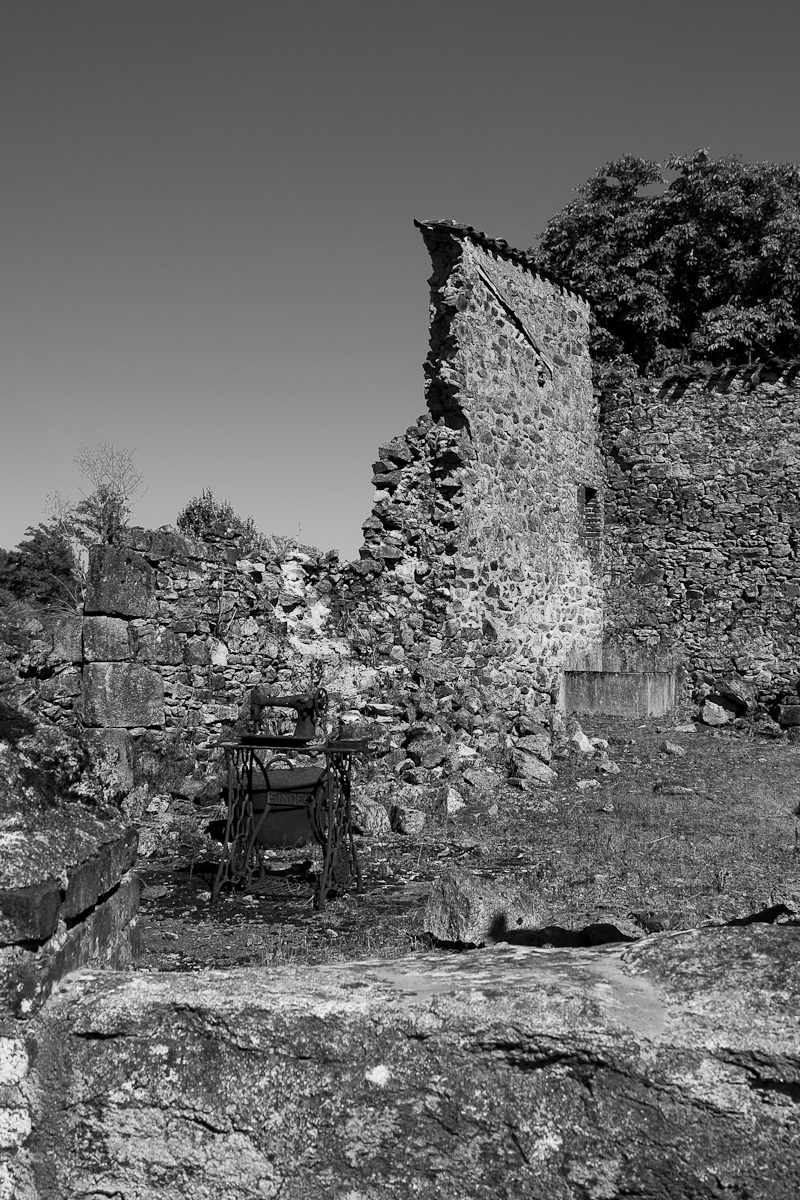 2010-08-07 16-55-05 web