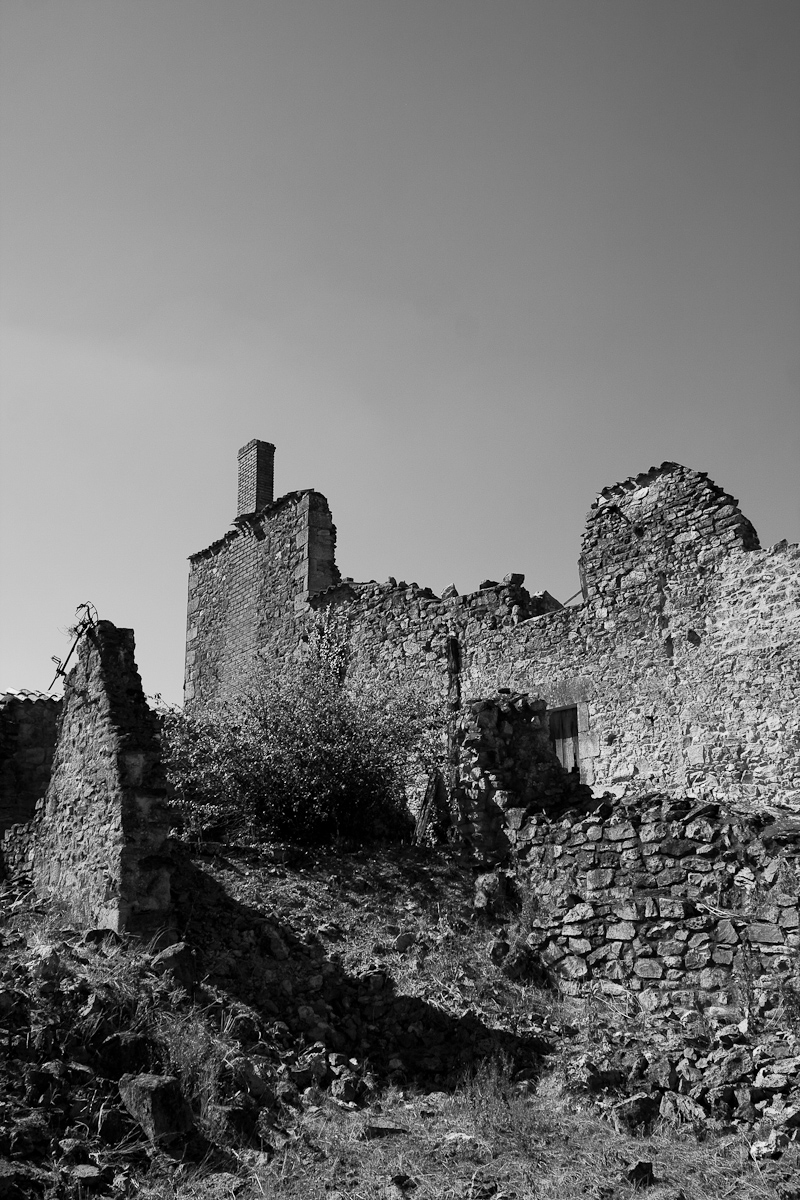 2010-08-07 16-57-11 web