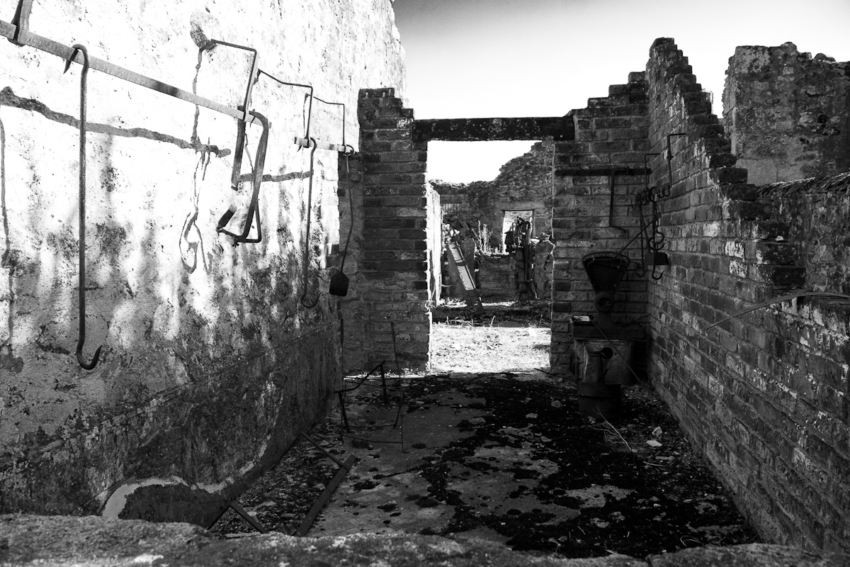 2010-08-07 18-04-10 web