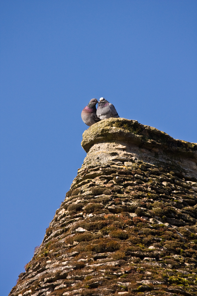 2009-02-27 10-44-25 web