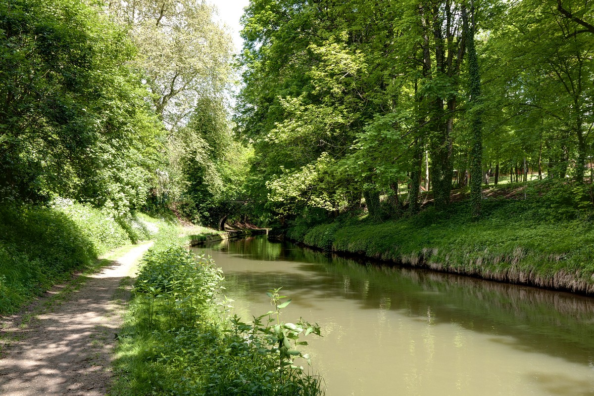 2012-05-13 10-48-38 fweb