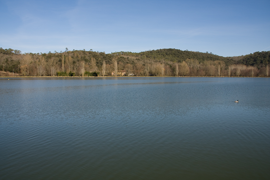 2009-02-25 14-59-05 web