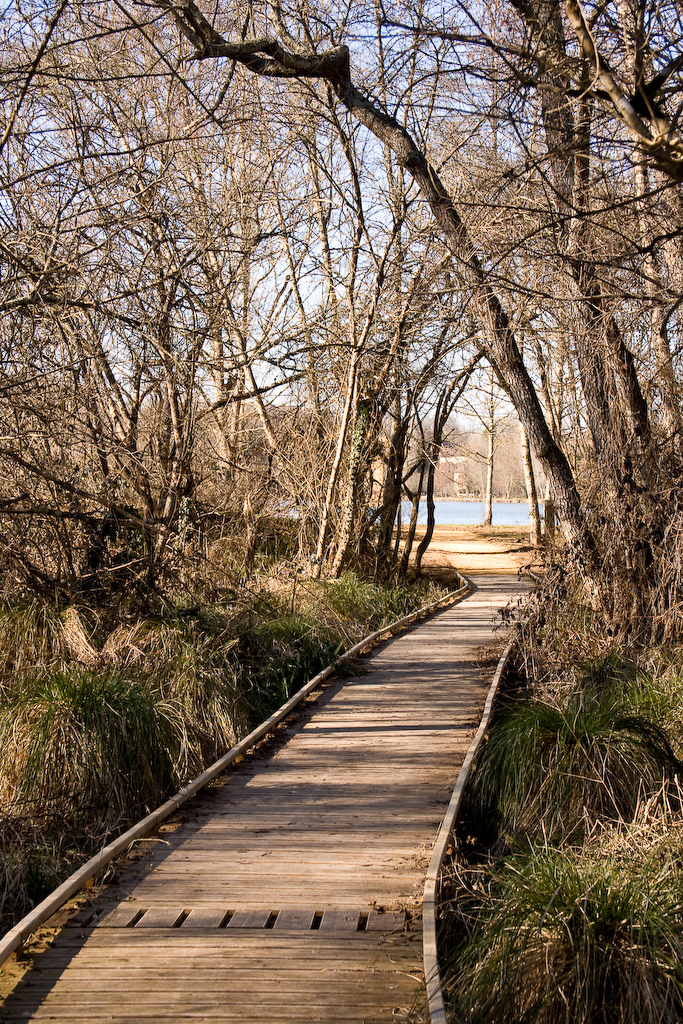 2009-02-25 15-50-27 web