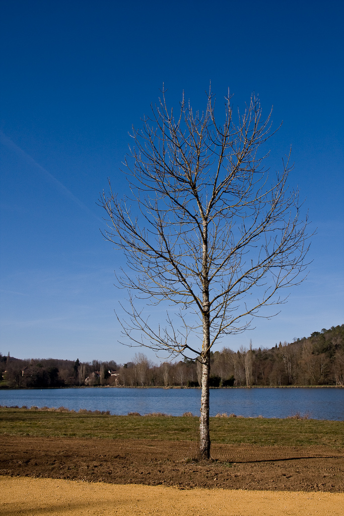 2009-02-25 15-52-39 web