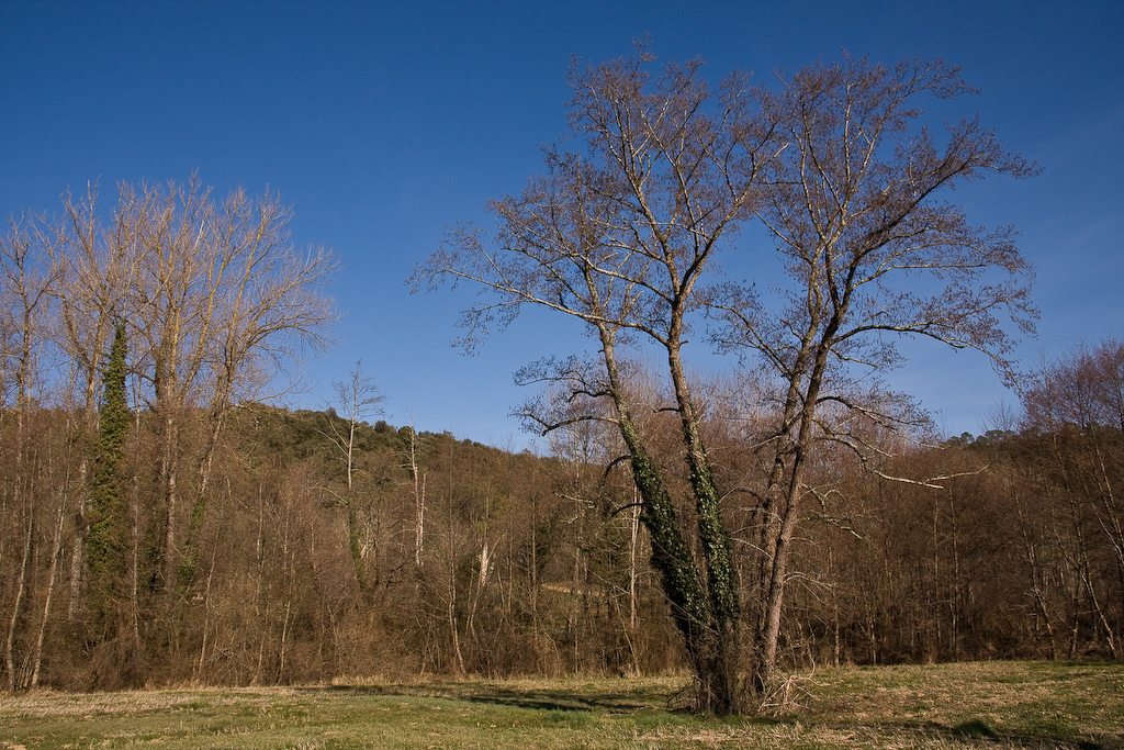 2009-02-25 15-58-01 web
