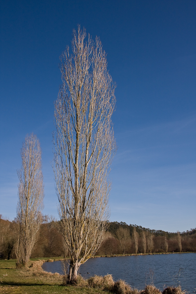 2009-02-25 16-03-19 web