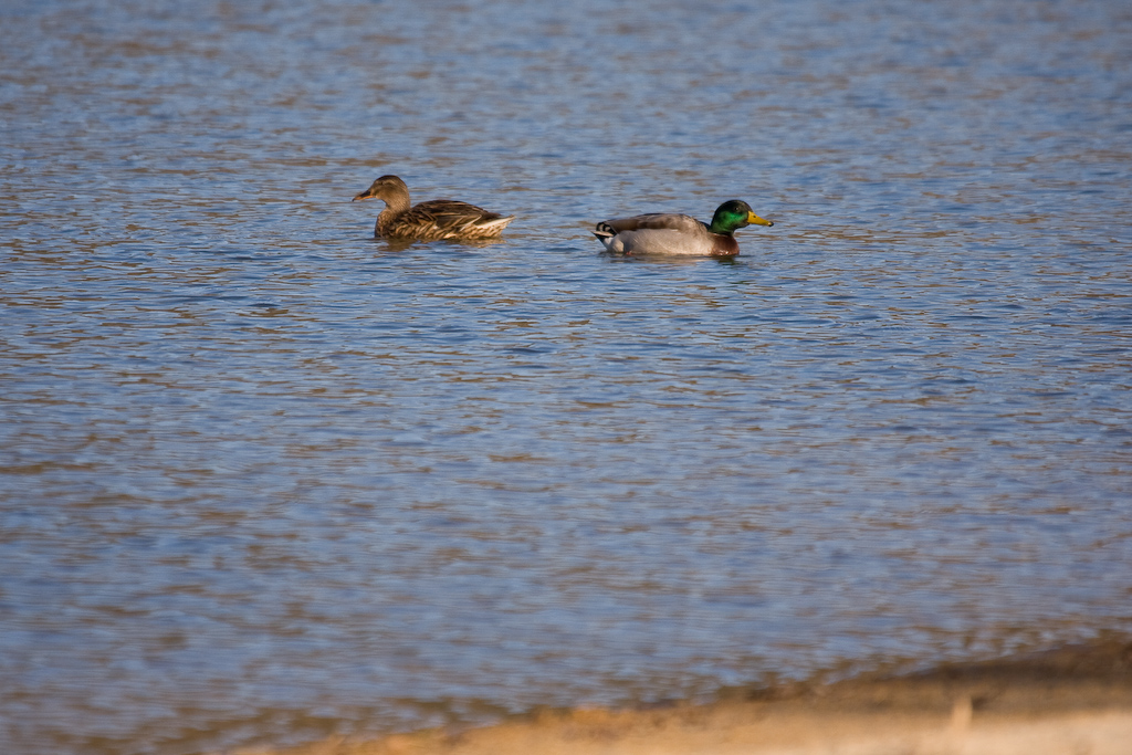 2009-02-25 16-49-57 web