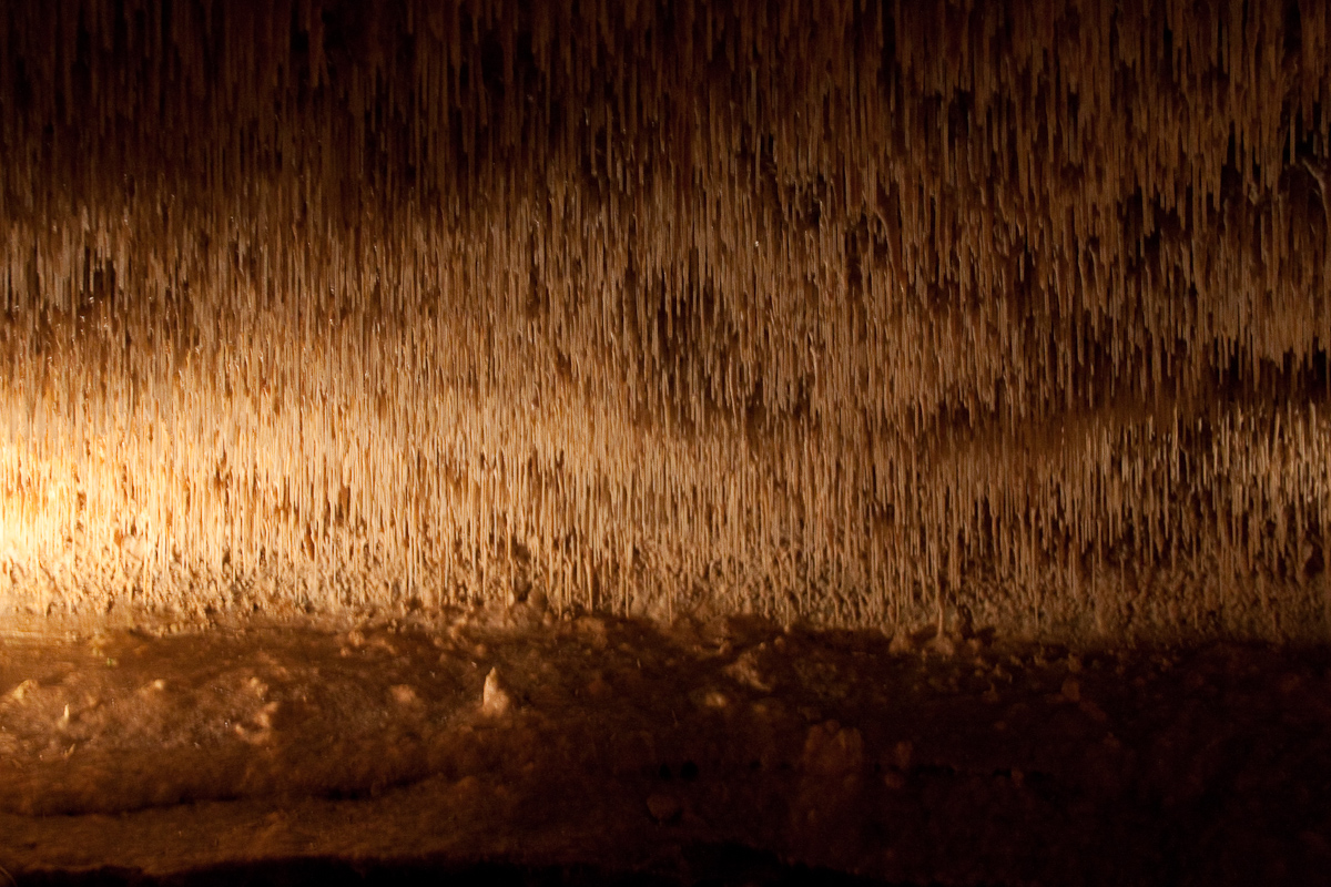 2010-08-22 15-48-46 web