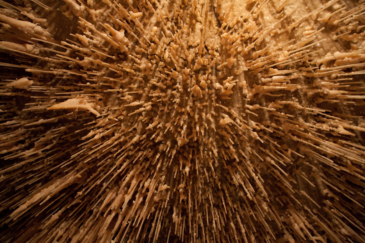 2010-08-22 15-51-54 web