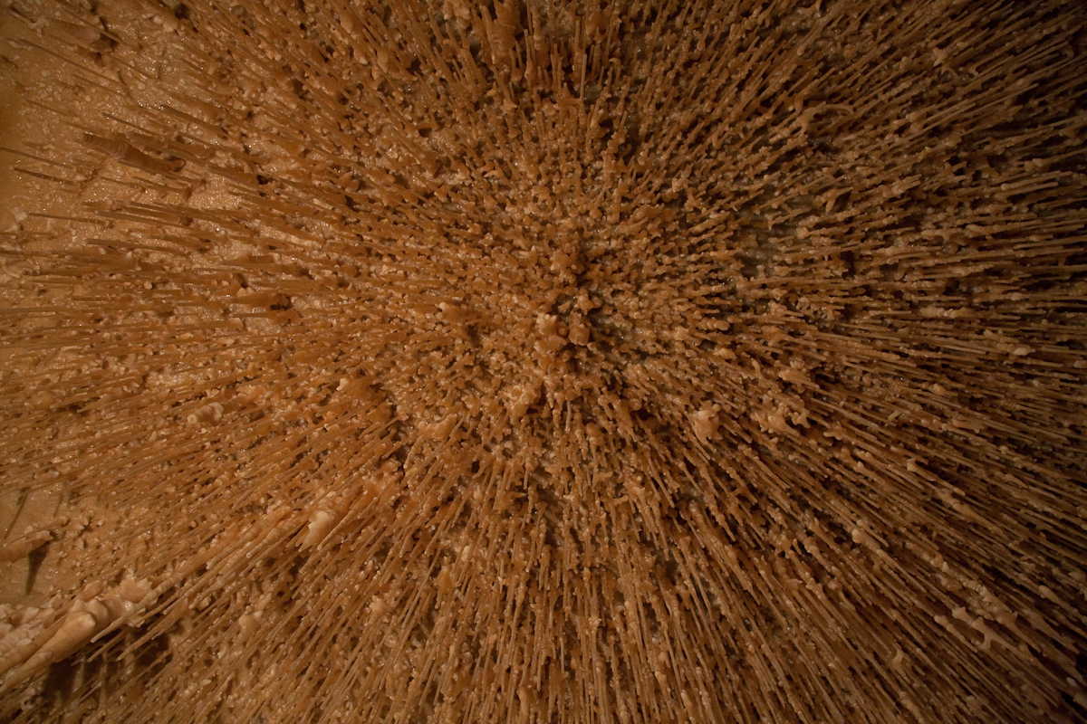 2010-08-22 15-56-26 web