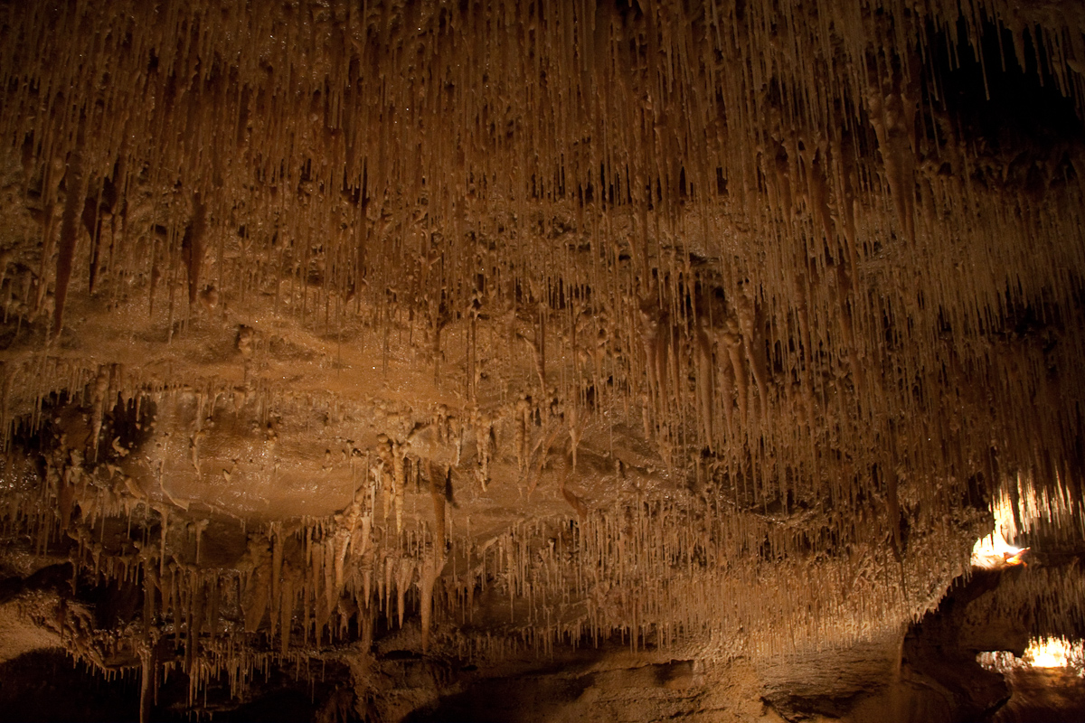 2010-08-22 15-57-02 web