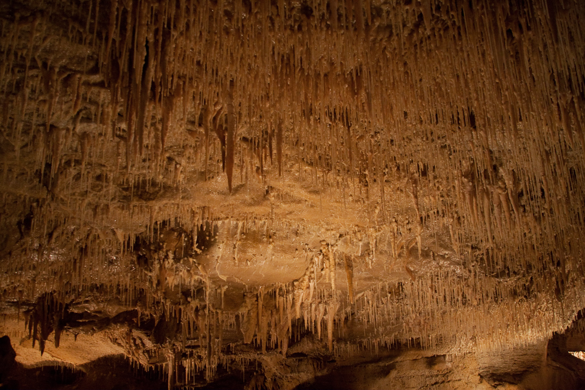 2010-08-22 15-57-20 web
