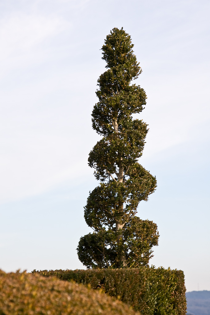 2009-01-02 15-31-52 web
