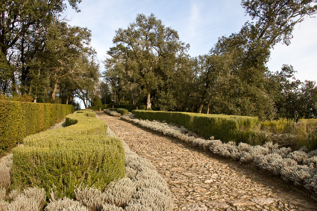 2009-01-02 15-32-29 web