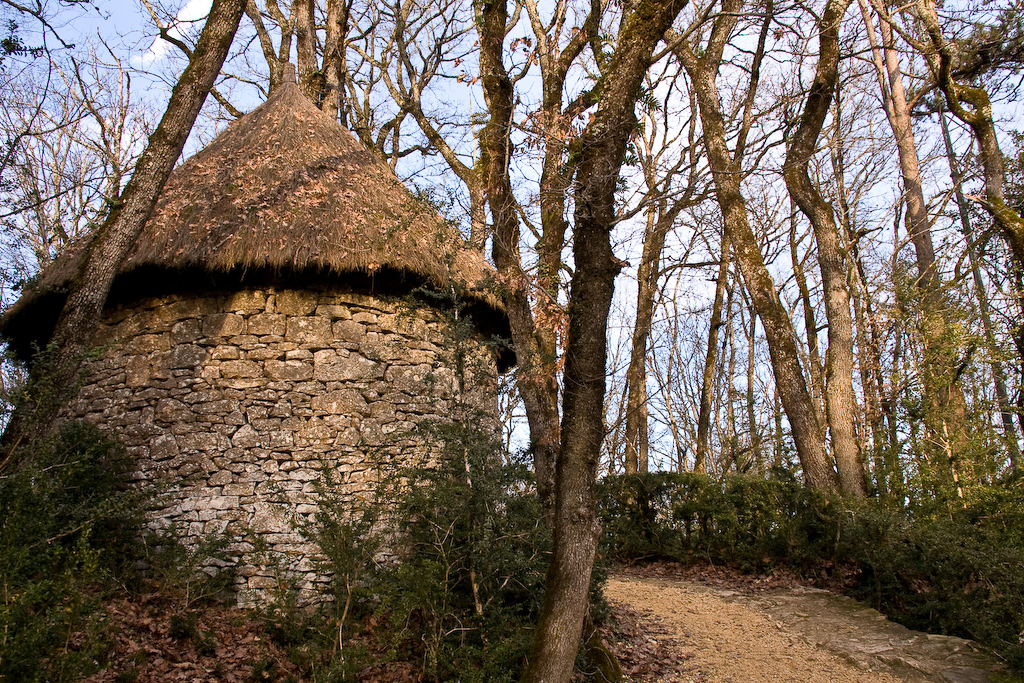 2009-01-02 16-26-45 web