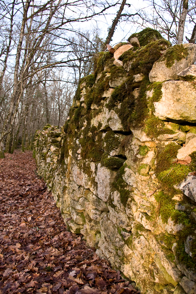 2009-01-02 16-28-15 web