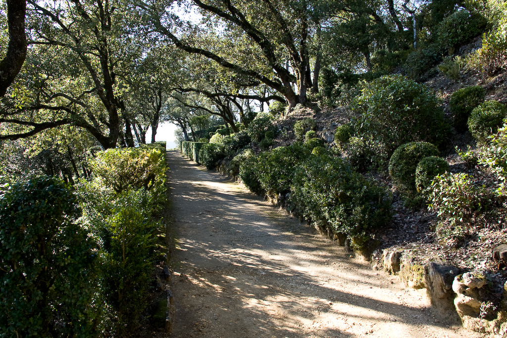 2009-02-26 15-35-15 web