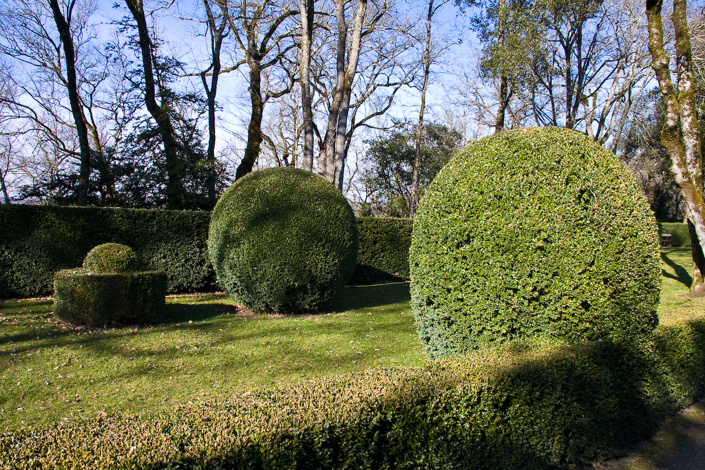 2009-02-26 15-42-59 web