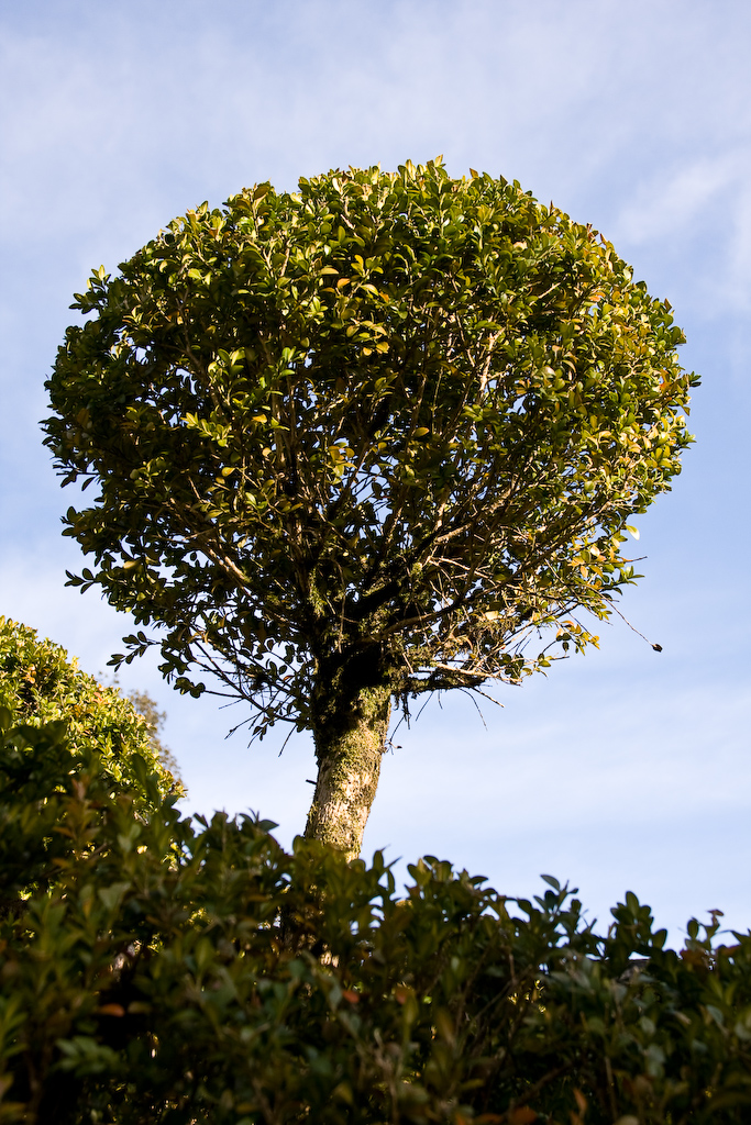 2009-02-26 16-32-01 web