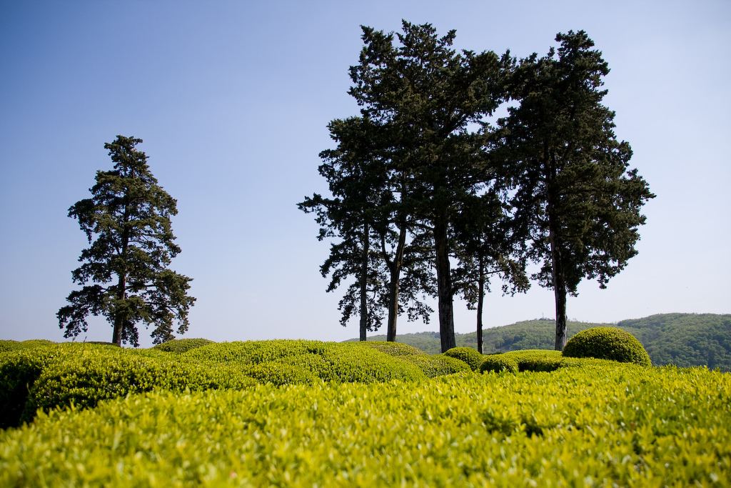 2009-04-22 16-21-48 web