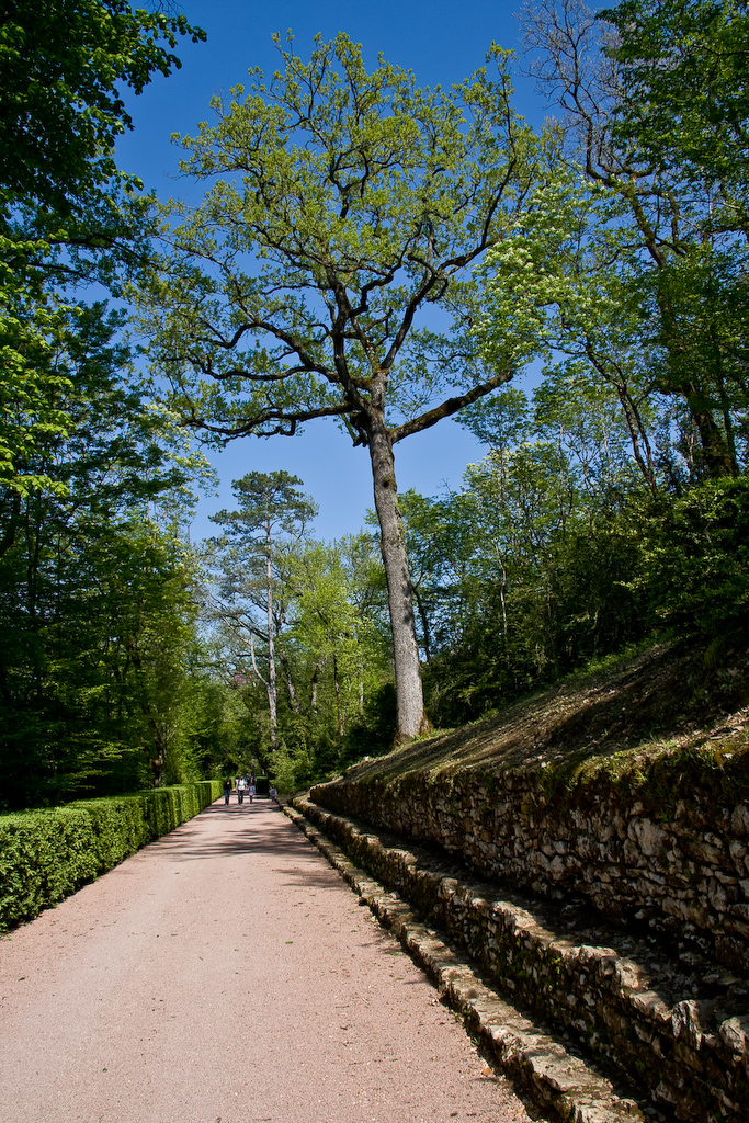 2009-04-22 16-39-44 web