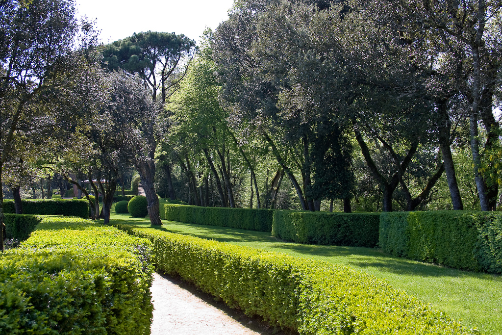 2009-04-22 16-47-20 web