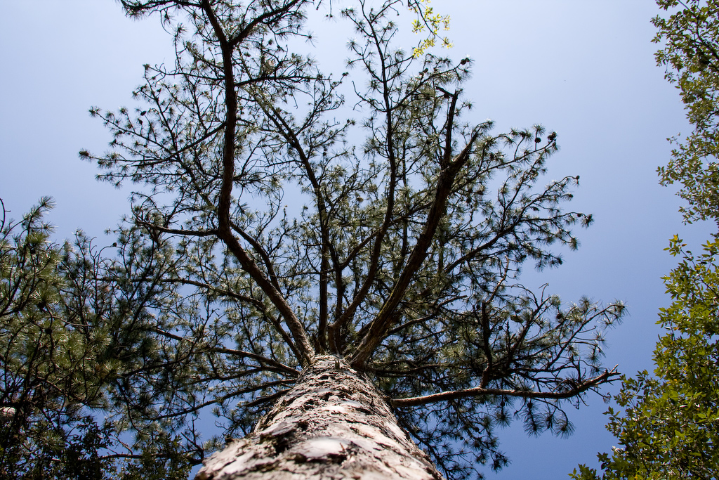 2009-04-22 17-50-54 web