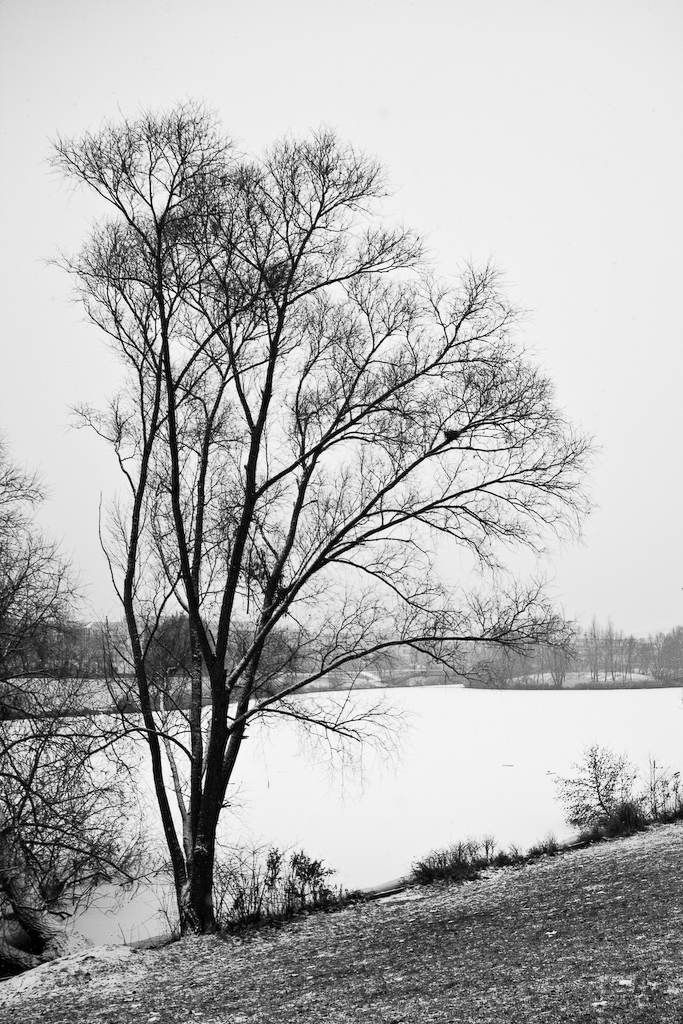 2009-01-05 11-46-36 web