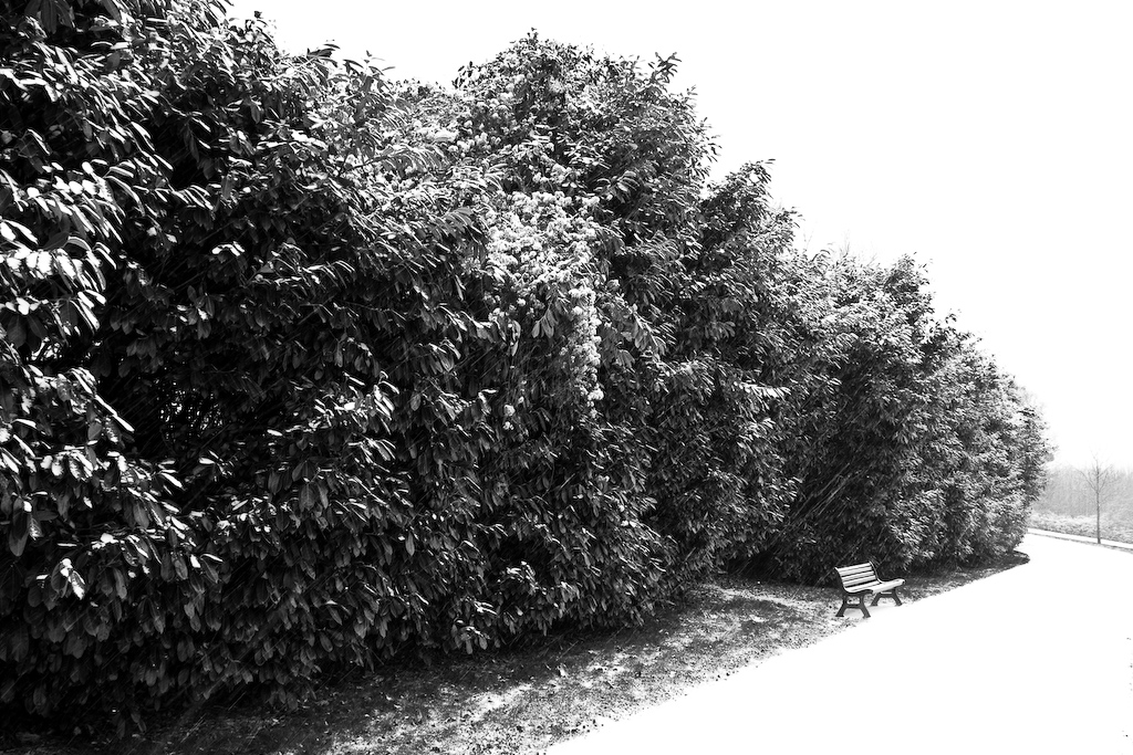 2009-01-05 11-49-46 web