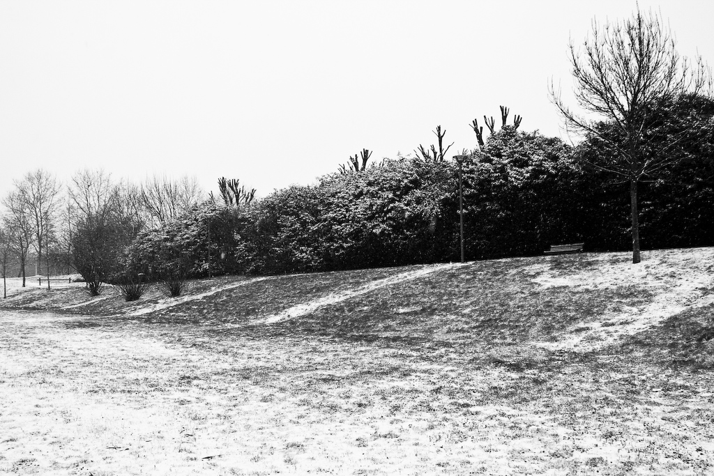 2009-01-05 11-52-07 web