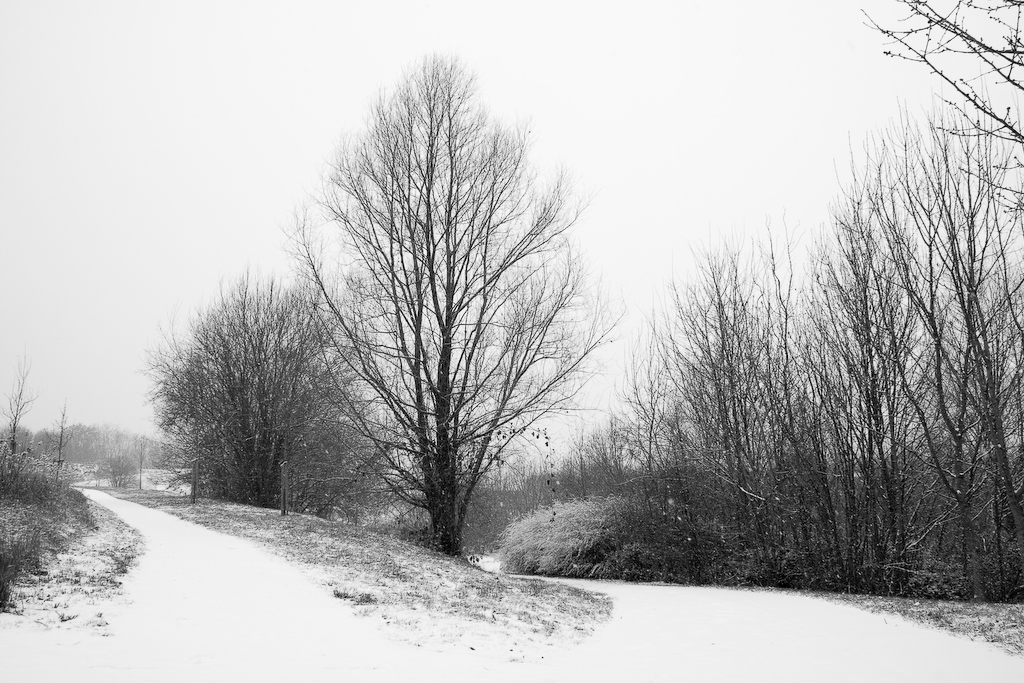 2009-01-05 12-01-01 web