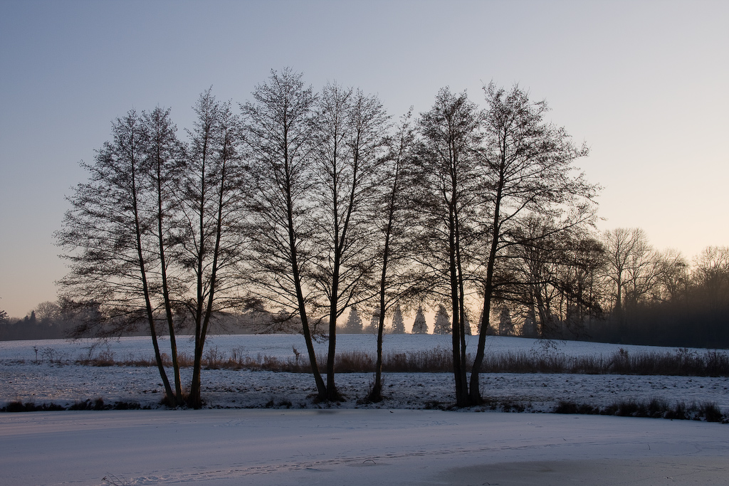 2009-01-10 16-18-20 web