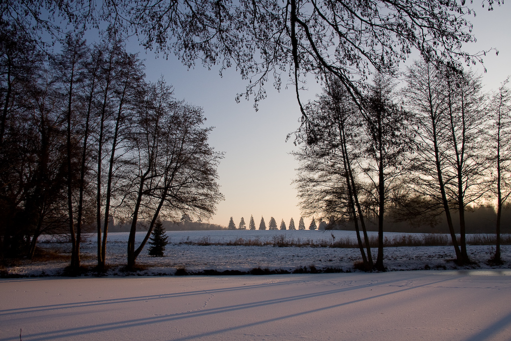 2009-01-10 16-19-20 web