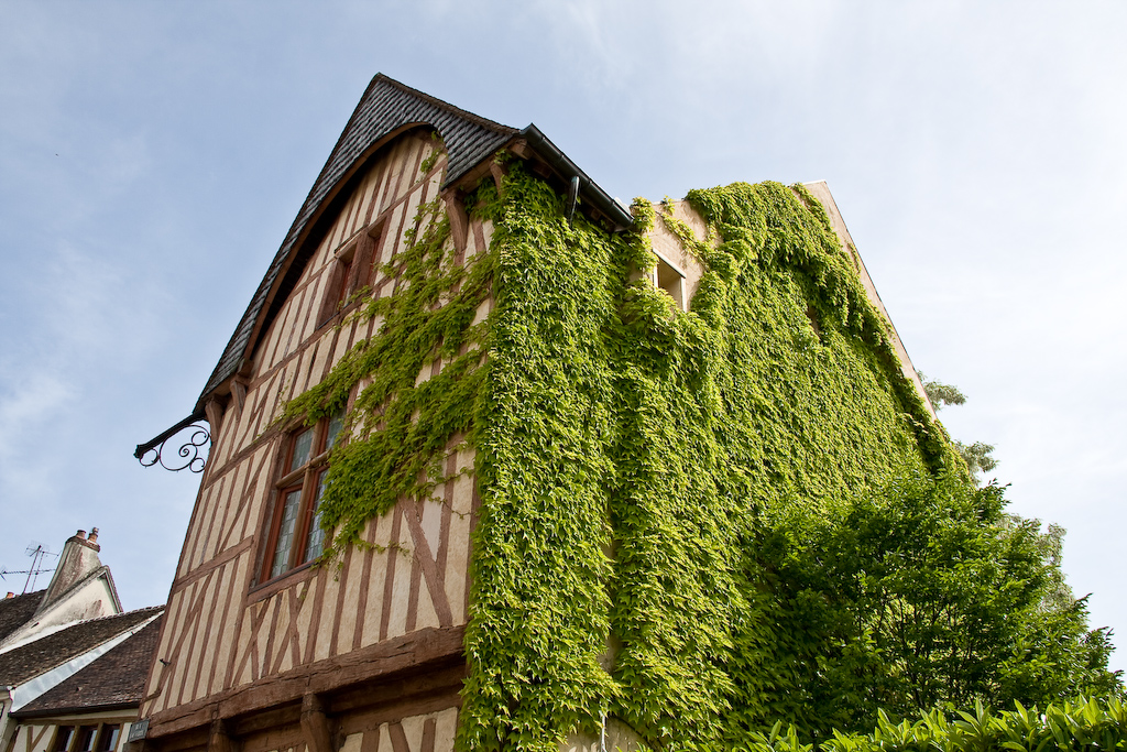 2009-05-23 16-44-05 web