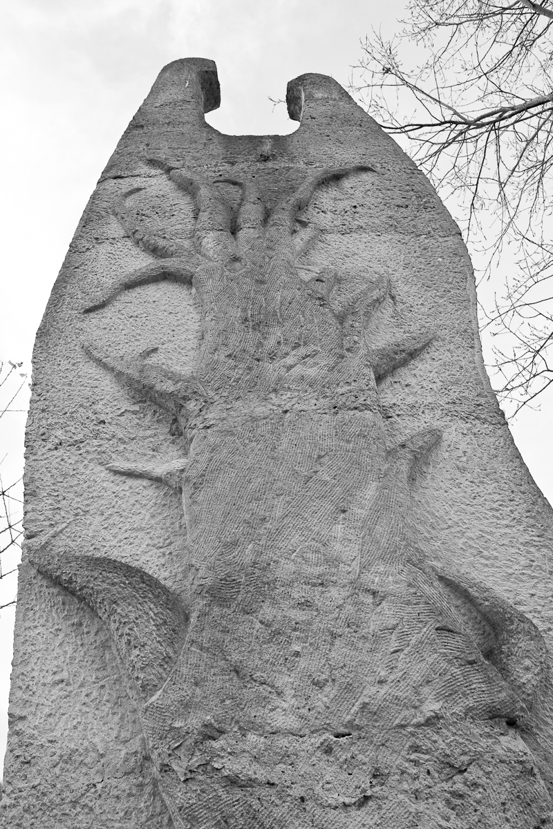 2010-11-20 16-38-01 web