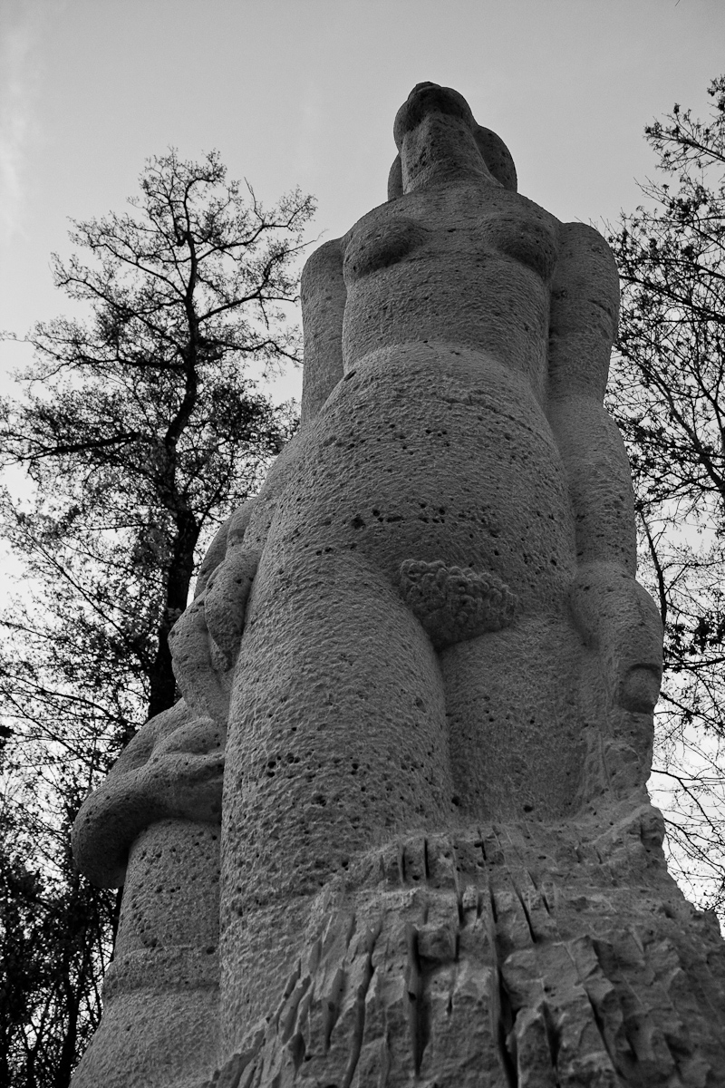 2010-11-20 16-49-06 web