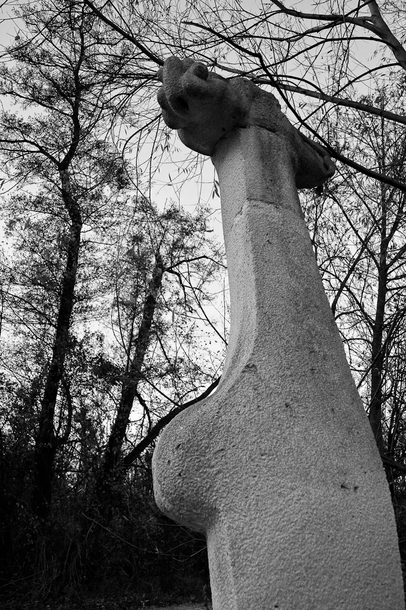 2010-11-20 16-53-51 web