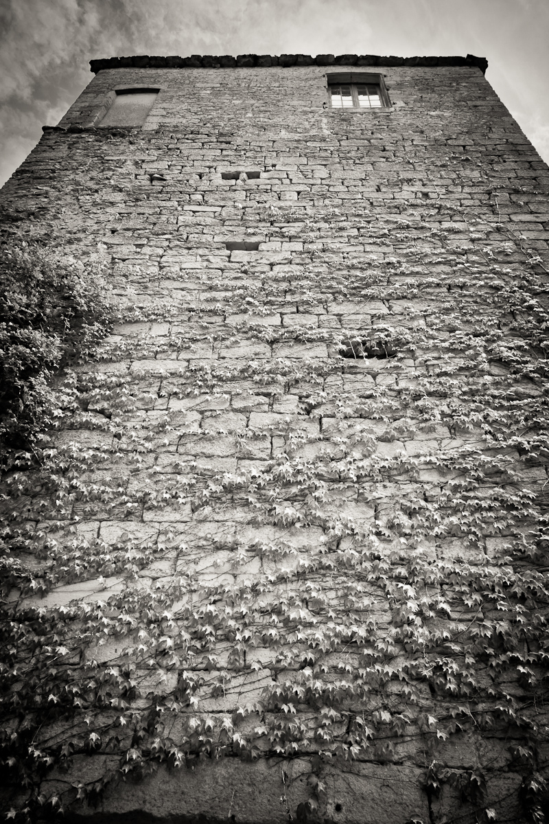 2011-08-06 15-04-00 web